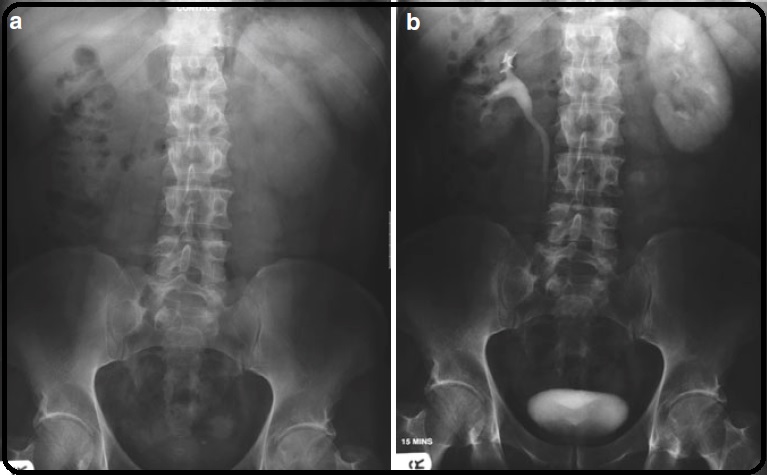 case report 1-1-7