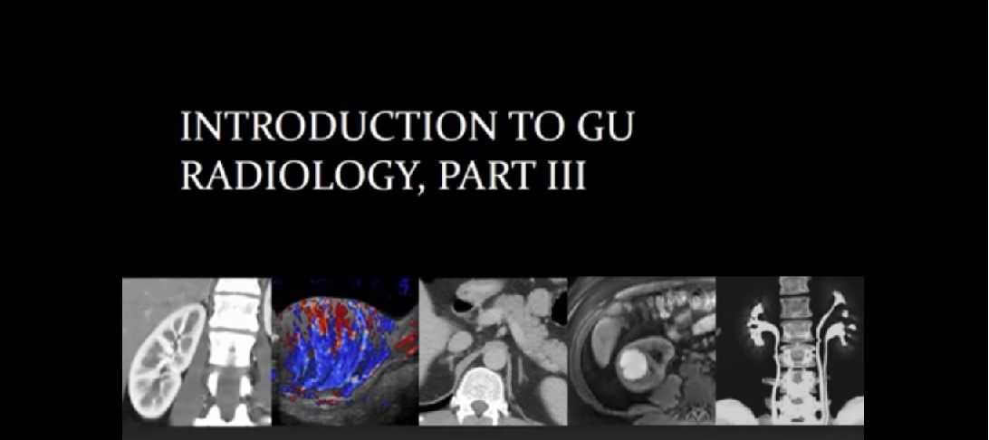Introduction to Genitourinary Radiology, Part III