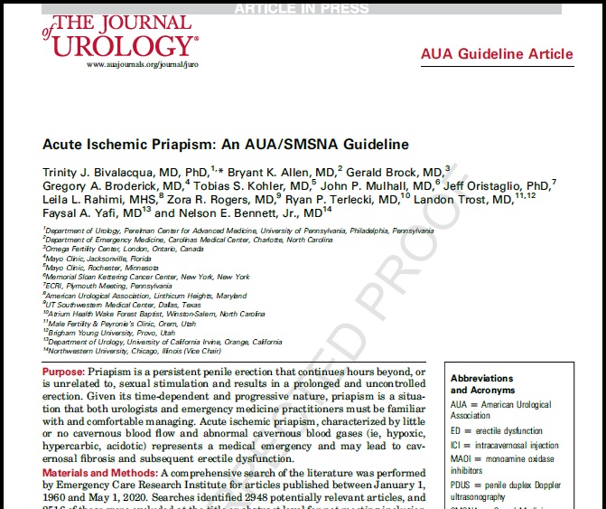 AUA Guideline Acute Ischemic Priapism
