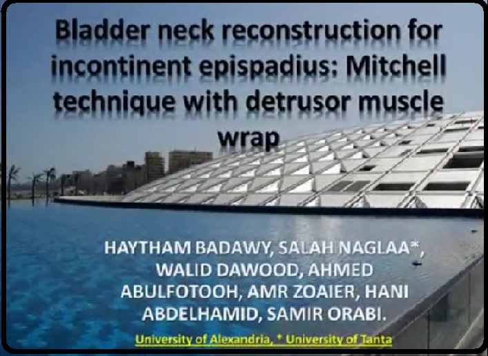 BLADDER NECK RECONSTRUCTION/FOR INCONTINENT EPISPADIUS