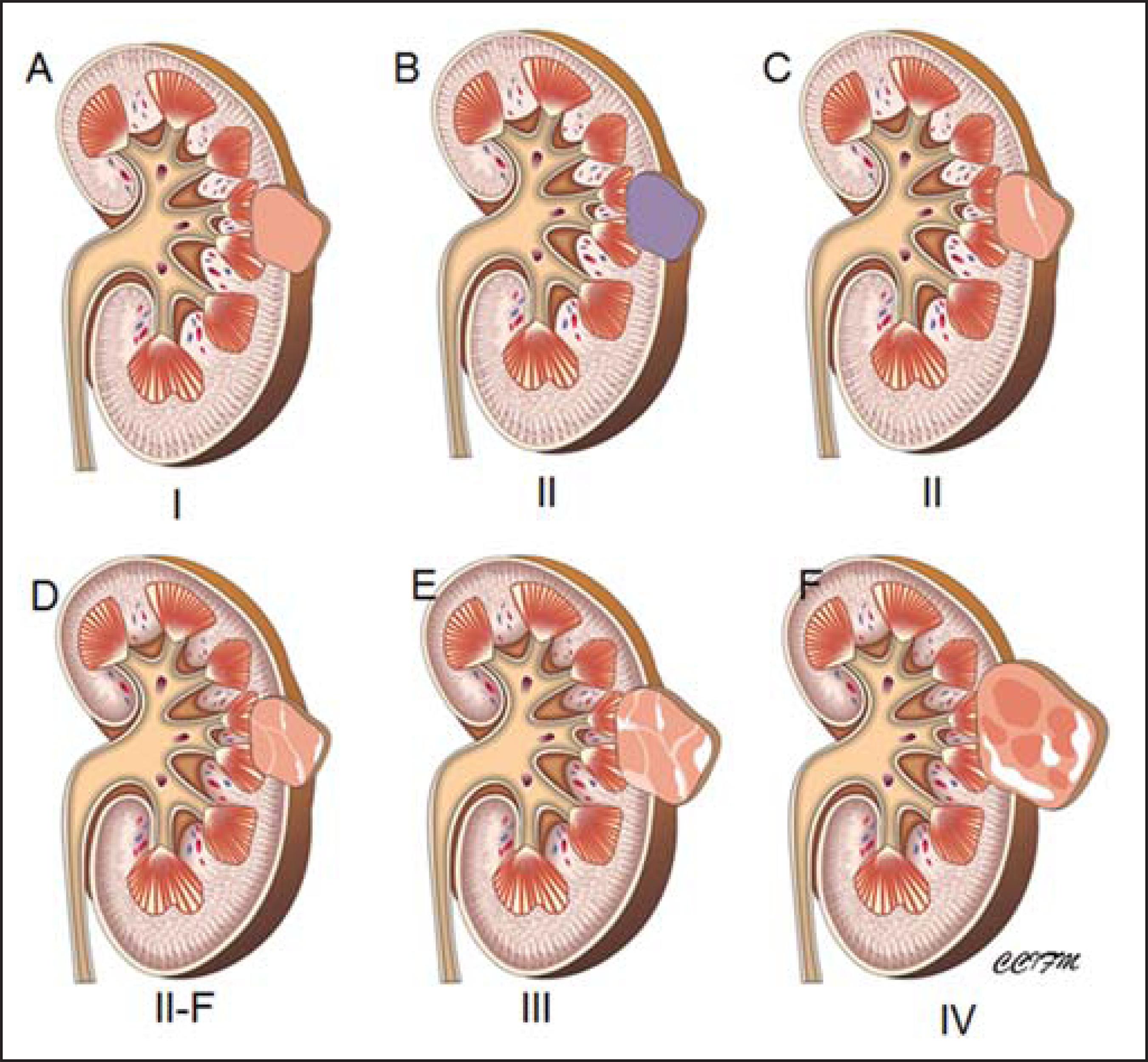 Academic Learning Of Urology Procedures image