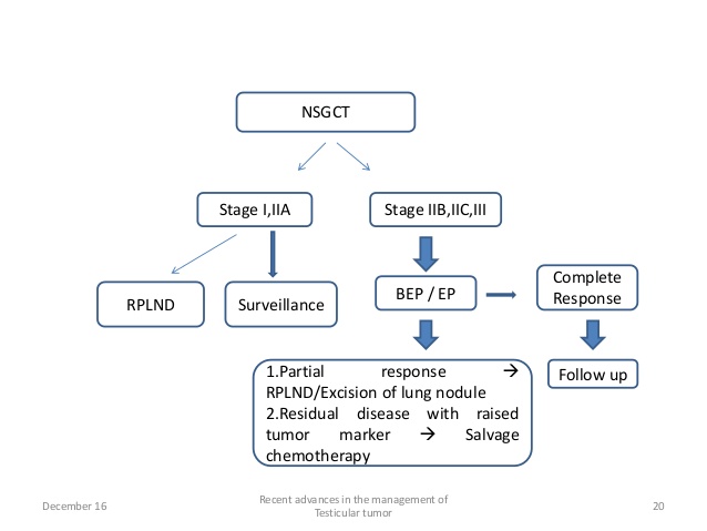 Testicular Tumor Management -lecture