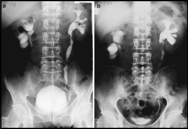 Academic Learning Of Urology Procedures picture