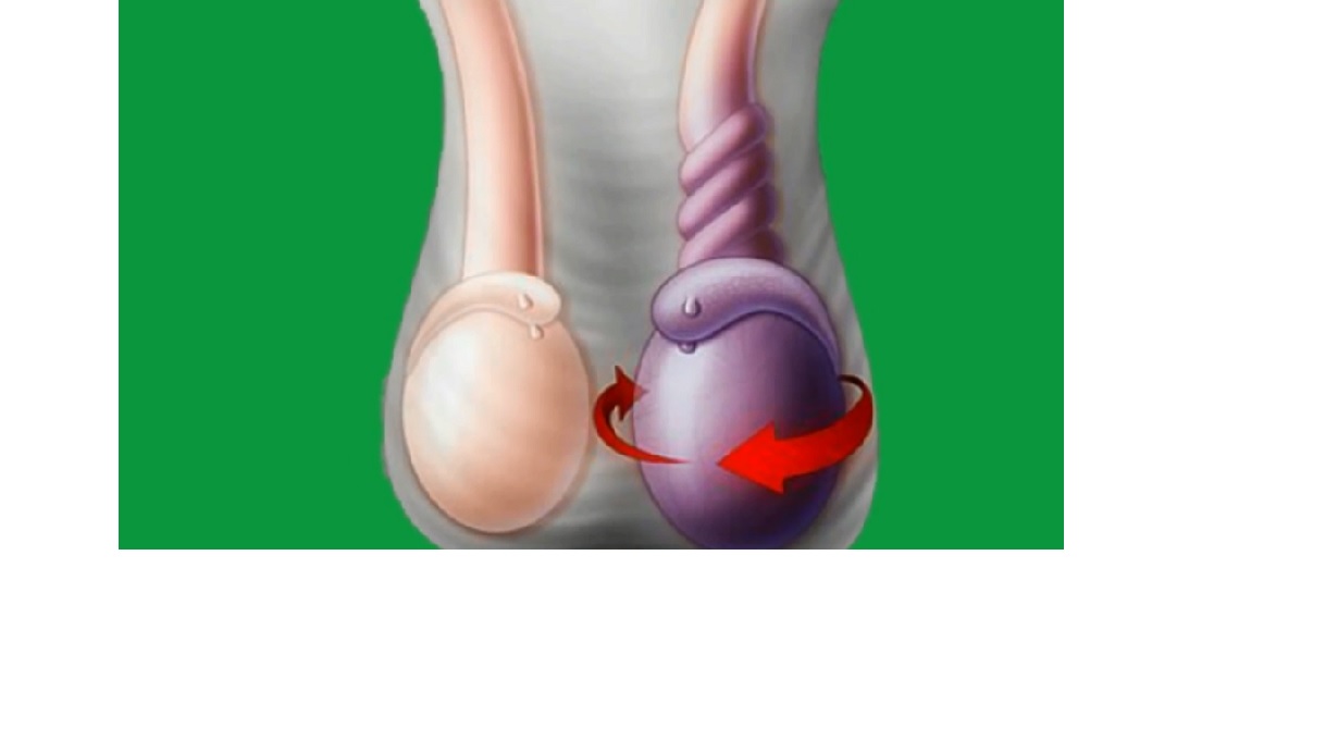 Academic Learning Of Urology Procedures