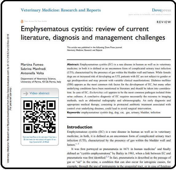 Emphysematous cystitis: review of current literature, diagnosis and management challenges