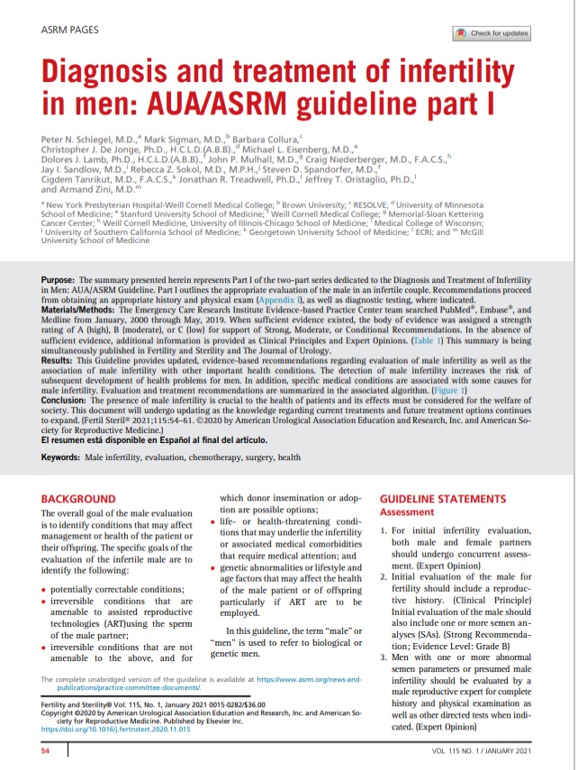 Treatment of the Hypogonadal Infertile Male—A Review