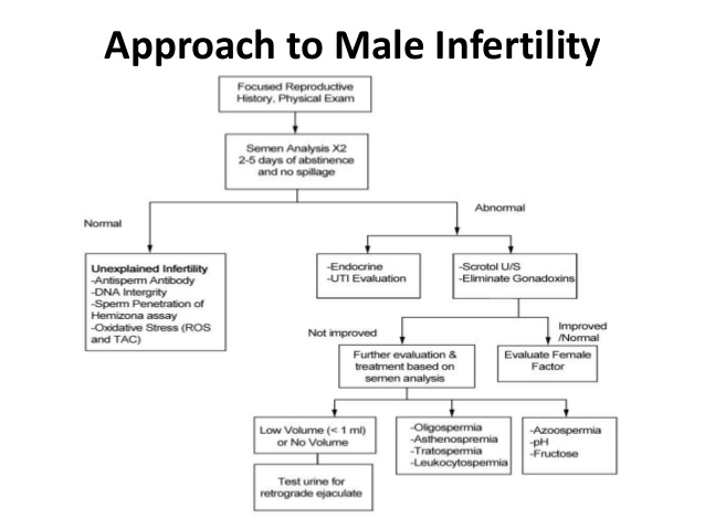 infertility approach lecture
