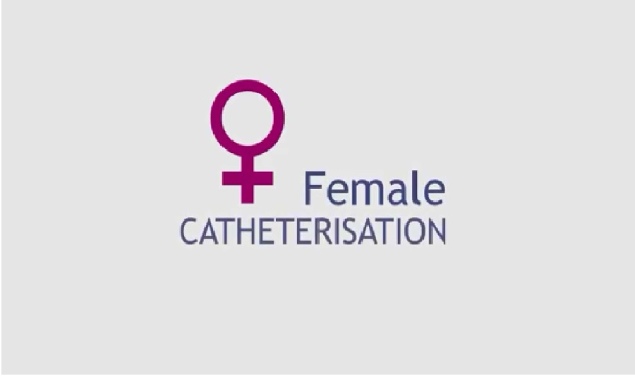 fmale catheterisasion