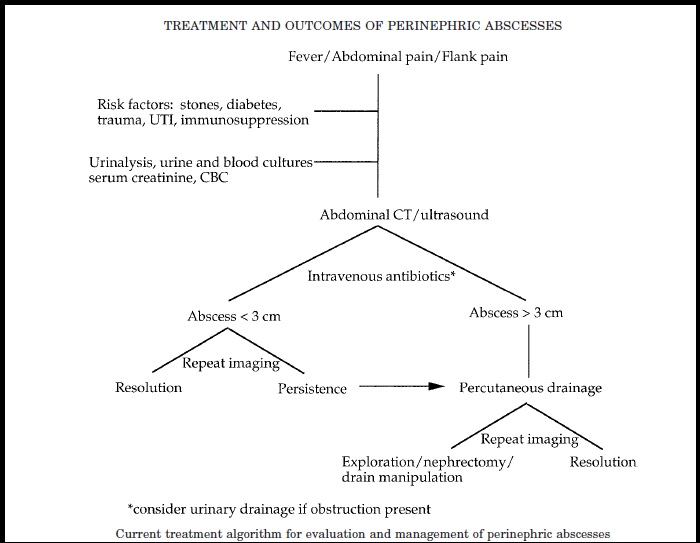 renal abscess approach