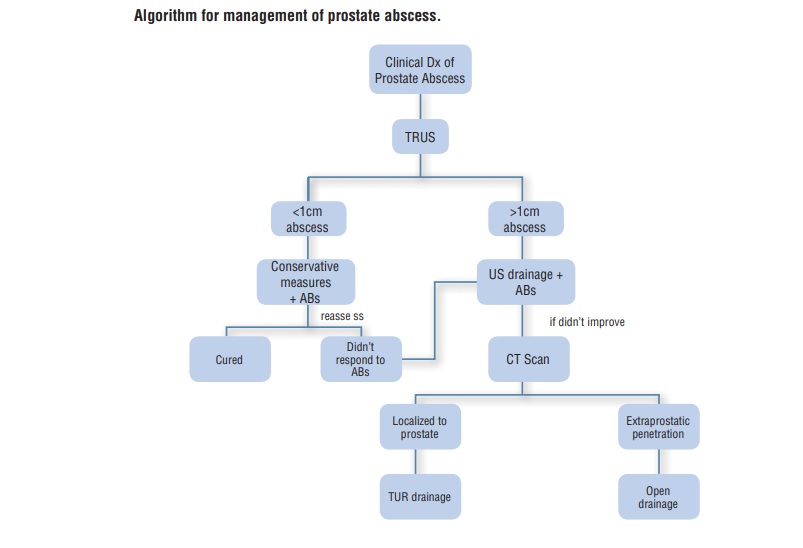 Management of prostate abscess in the absence of guidelines