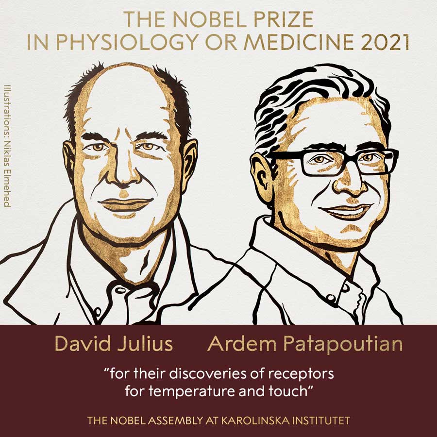 The Nobel Prize in Physiology or Medicine 2021 was awarded jointly to David Julius and Ardem Patapoutian 